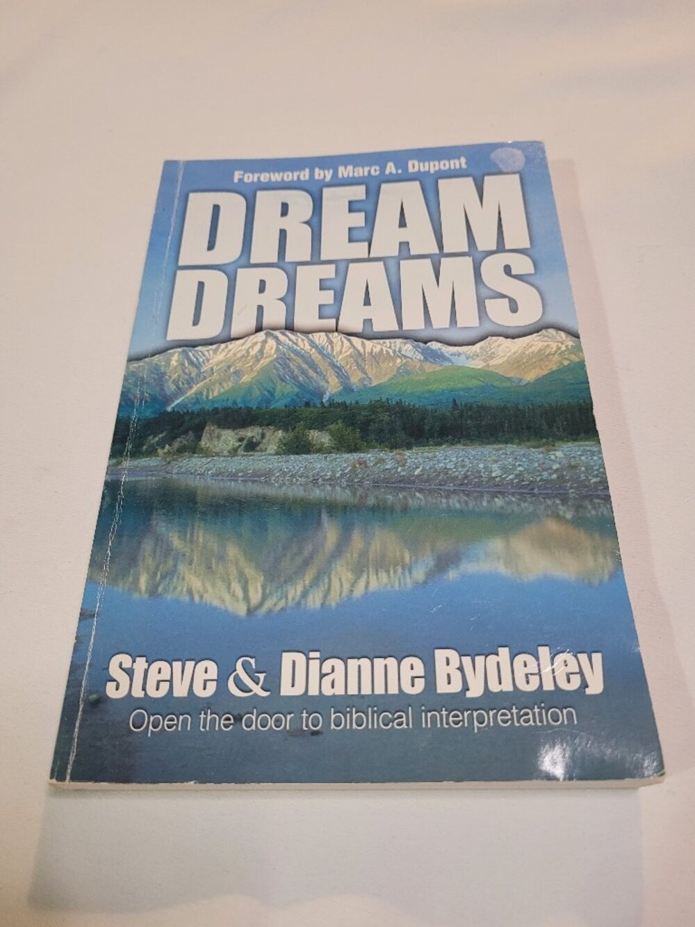 Dream Dreams Used Christian Spiritual Interpretation Paperback Book Steve & Dian